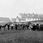 Historien om storgården Håland- ved: Tor Erik Hansen