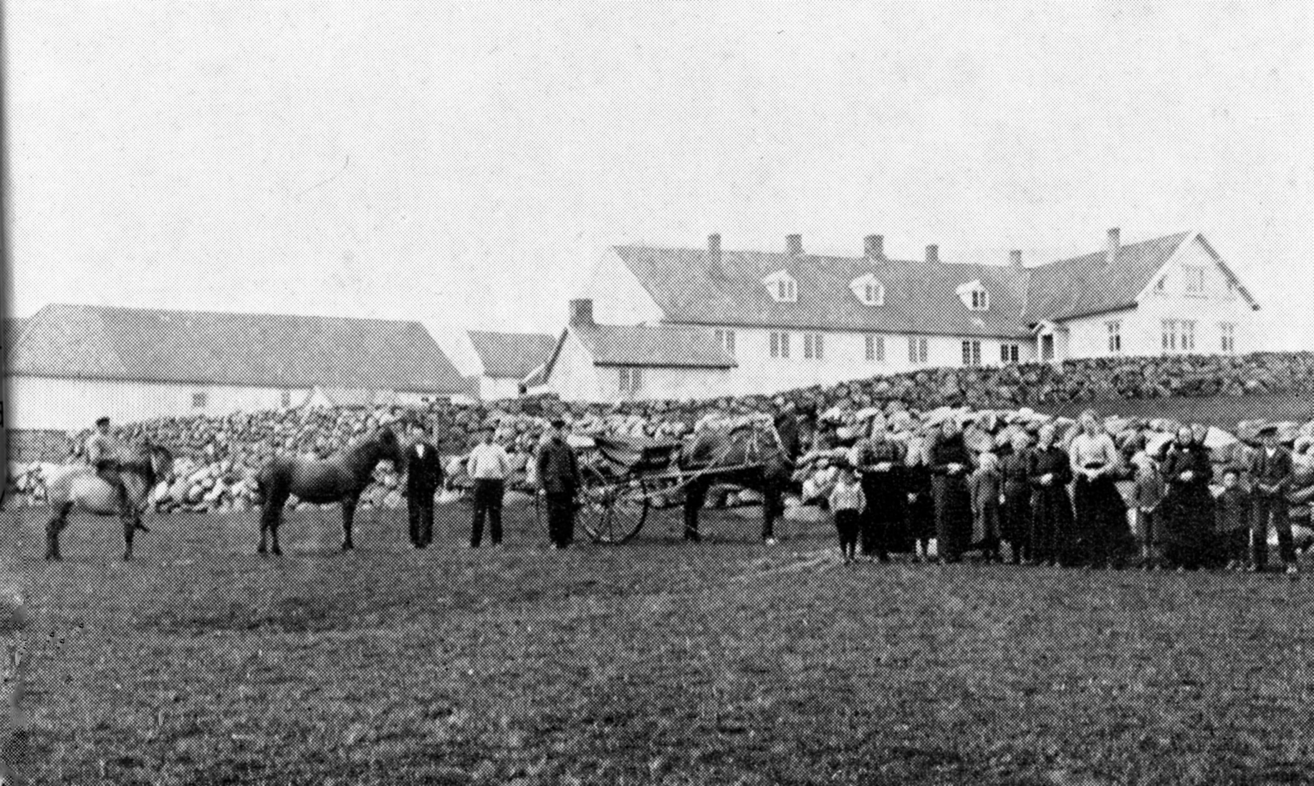 Historien om storgården Håland- ved: Tor Erik Hansen